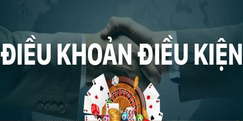 Tuân thủ pháp luật theo đúng nguyên tắc