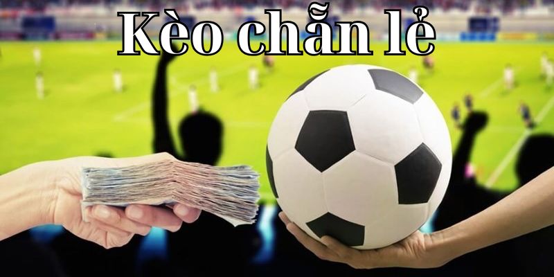 Bí kíp soi kèo chẵn lẻ “bách chiến bách thắng” từ chuyên gia